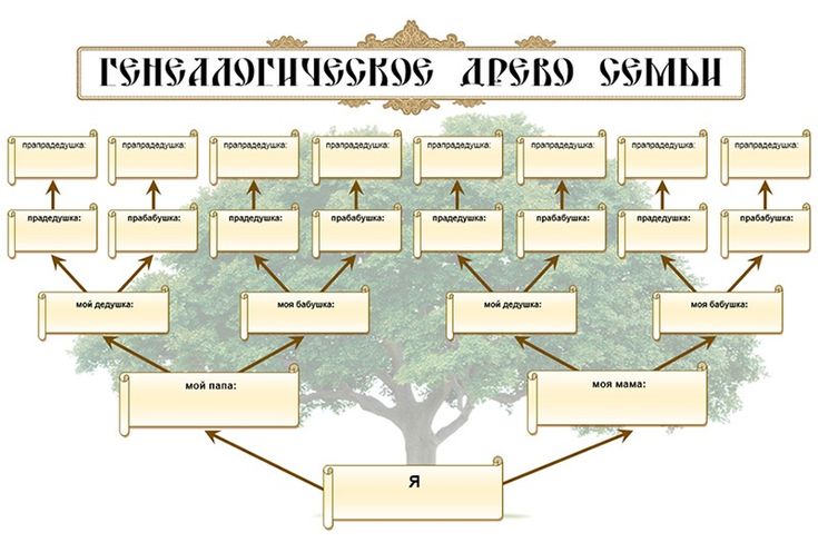 родология - родовое дерево